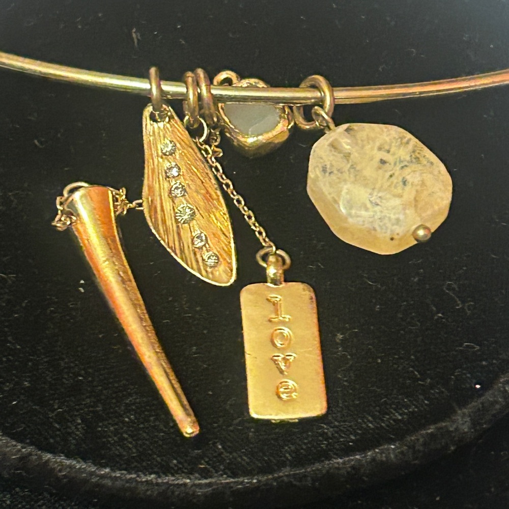 BANANA REPUBLIC CHARM COLLAR NECKLACE - Picture 6 of 7